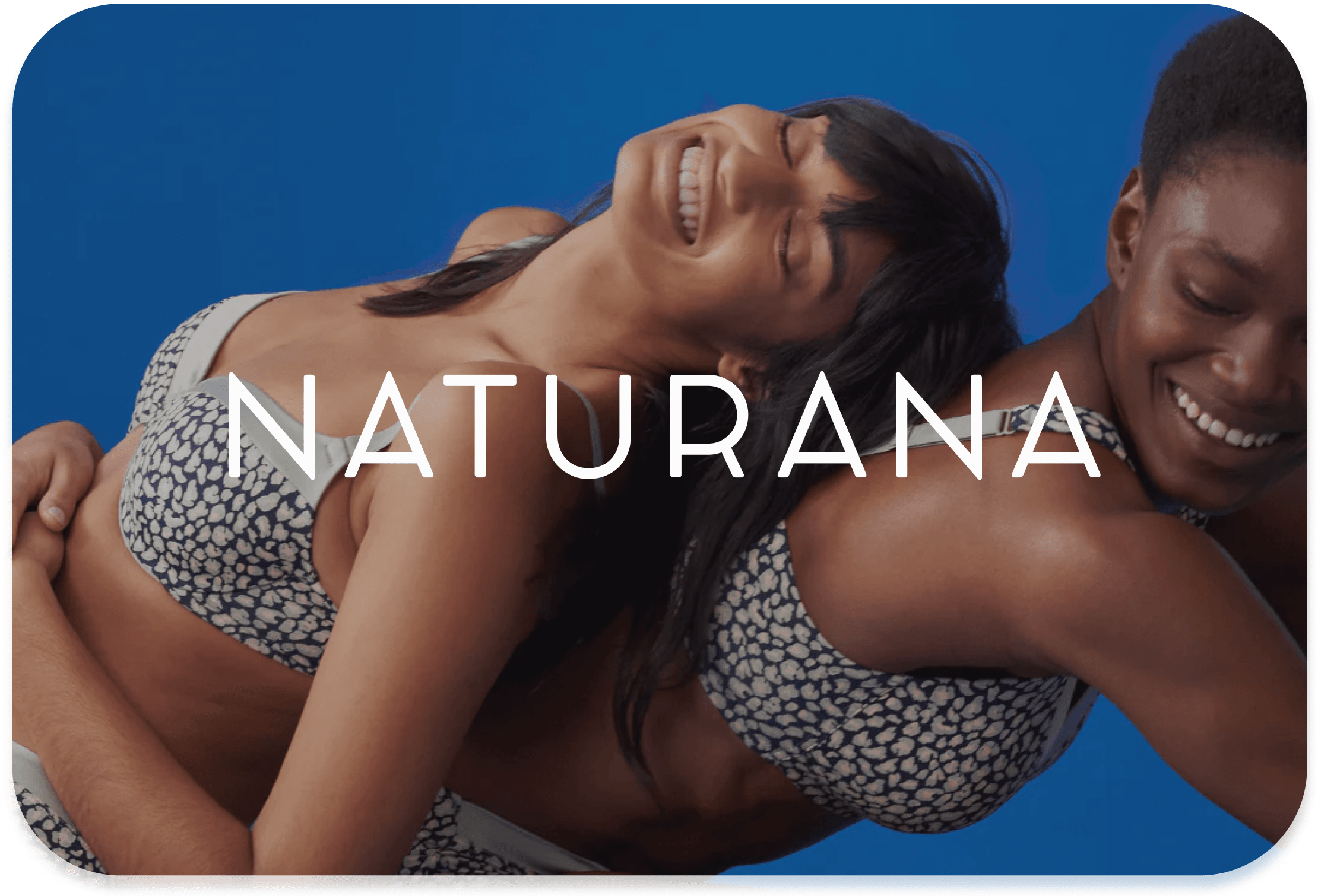 Naturana controls Shopify Multishop System and  from central brickfox  Multichannel instance.